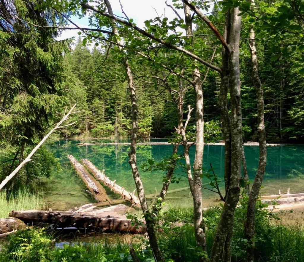 Waldnerhuette Villa Hermagor-Pressegger See Eksteriør bilde