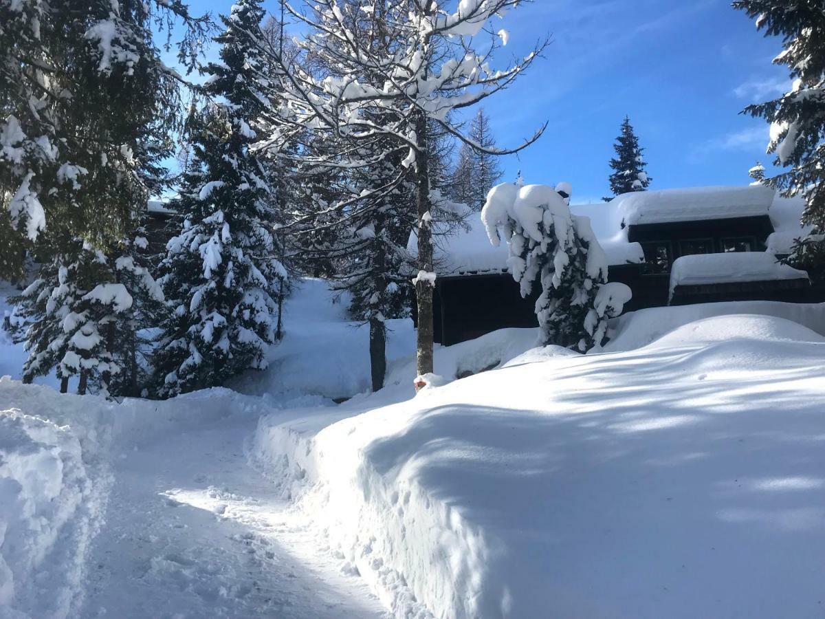 Waldnerhuette Villa Hermagor-Pressegger See Eksteriør bilde